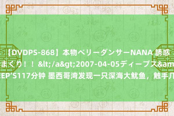 【DVDPS-868】本物ベリーダンサーNANA 誘惑の腰使いで潮吹きまくり！！</a>2007-04-05ディープス&$DEEP’S117分钟 墨西哥湾发现一只深海大鱿鱼，触手几米长，眼见记载次数约为12次