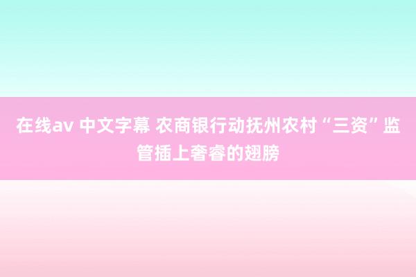 在线av 中文字幕 农商银行动抚州农村“三资”监管插上奢睿的翅膀