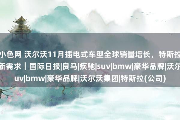 小色网 沃尔沃11月插电式车型全球销量增长，特斯拉无杆地点盘激发商场新需求｜国际日报|良马|疾驰|suv|bmw|豪华品牌|沃尔沃集团|特斯拉(公司)