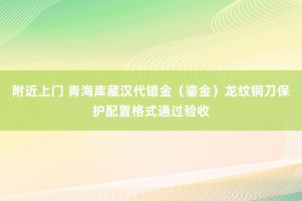 附近上门 青海库藏汉代错金（鎏金）龙纹铜刀保护配置格式通过验收