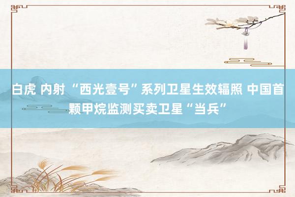 白虎 内射 “西光壹号”系列卫星生效辐照 中国首颗甲烷监测买卖卫星“当兵”