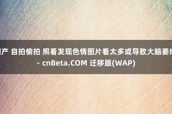 国产 自拍偷拍 照看发现色情图片看太多或导致大脑萎缩 - cnBeta.COM 迁移版(WAP)