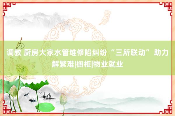 调教 厨房大家水管维修陷纠纷 “三所联动” 助力解繁难|橱柜|物业就业