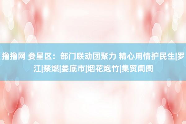 撸撸网 娄星区：部门联动团聚力 精心用情护民生|罗江|禁燃|娄底市|烟花炮竹|集贸阛阓