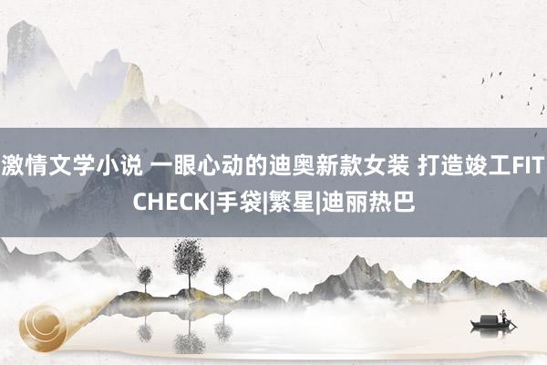 激情文学小说 一眼心动的迪奥新款女装 打造竣工FITCHECK|手袋|繁星|迪丽热巴
