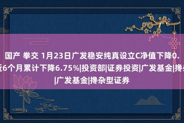 国产 拳交 1月23日广发稳安纯真设立C净值下降0.44%，近6个月累计下降6.75%|投资部|证券投资|广发基金|搀杂型证券