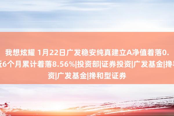 我想炫耀 1月22日广发稳安纯真建立A净值着落0.22%，近6个月累计着落8.56%|投资部|证券投资|广发基金|搀和型证券