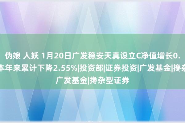 伪娘 人妖 1月20日广发稳安天真设立C净值增长0.59%，本年来累计下降2.55%|投资部|证券投资|广发基金|搀杂型证券
