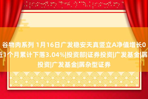 谷物肉系列 1月16日广发稳安天真竖立A净值增长0.28%，近1个月累计下落3.04%|投资部|证券投资|广发基金|羼杂型证券