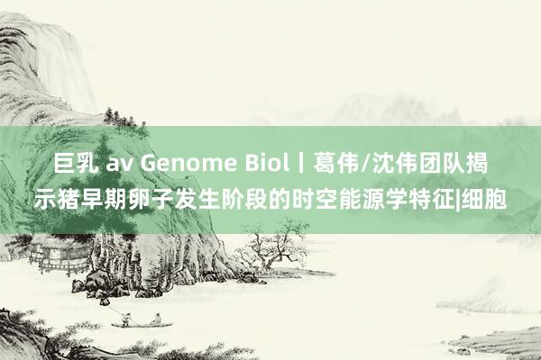 巨乳 av Genome Biol丨葛伟/沈伟团队揭示猪早期卵子发生阶段的时空能源学特征|细胞