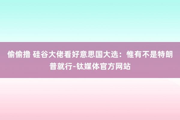 偷偷撸 硅谷大佬看好意思国大选：惟有不是特朗普就行-钛媒体官方网站