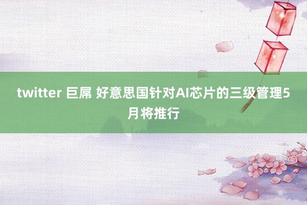 twitter 巨屌 好意思国针对AI芯片的三级管理5月将推行