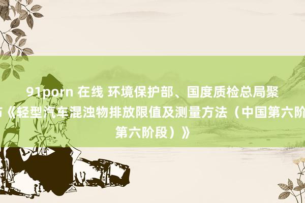 91porn 在线 环境保护部、国度质检总局聚会发布《轻型汽车混浊物排放限值及测量方法（中国第六阶段）》