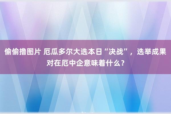 偷偷撸图片 厄瓜多尔大选本日“决战”，选举成果对在厄中企意味着什么？